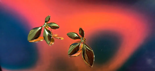 Anti tarnish earrings | Midas Leaflet Cearo ornato jewellery